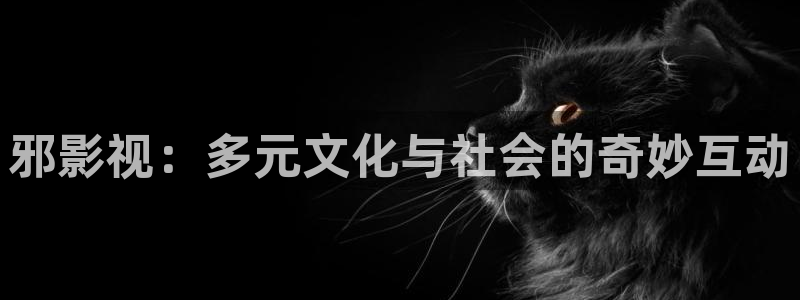 365电影网天天影院