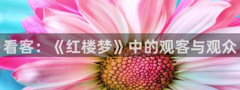 5g影院天天g天天爽