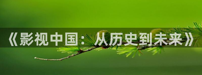 5g影院天天5g天天看：《影视中国：从历史到未来》