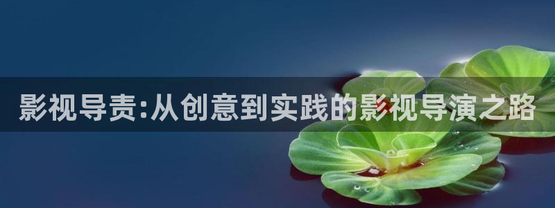 天天影院久久：影视导责:从创意到实践的影视导演之路