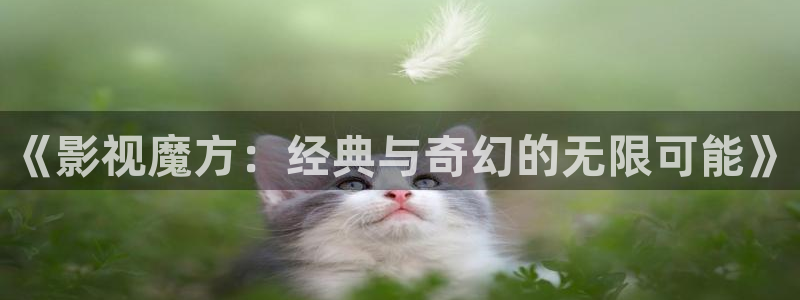 天天影院免费在线观看：《影视魔方：经典与奇幻的无限可能》